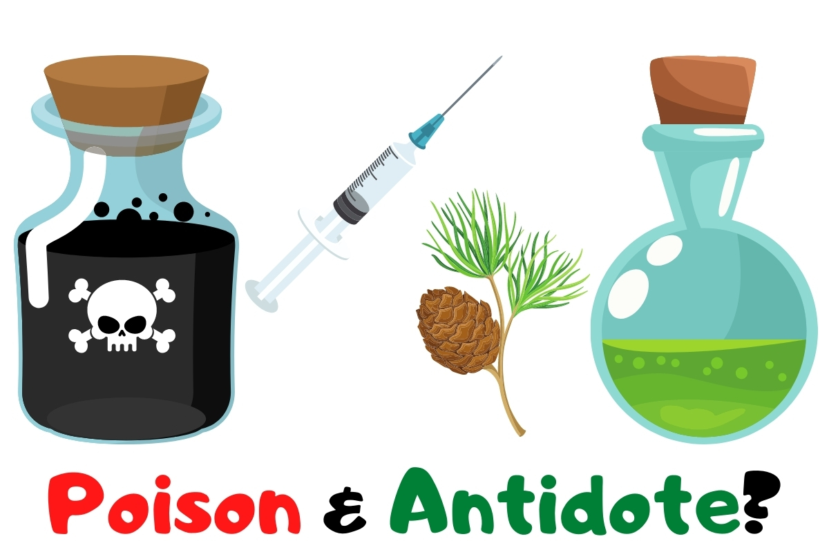 poison antidote chart